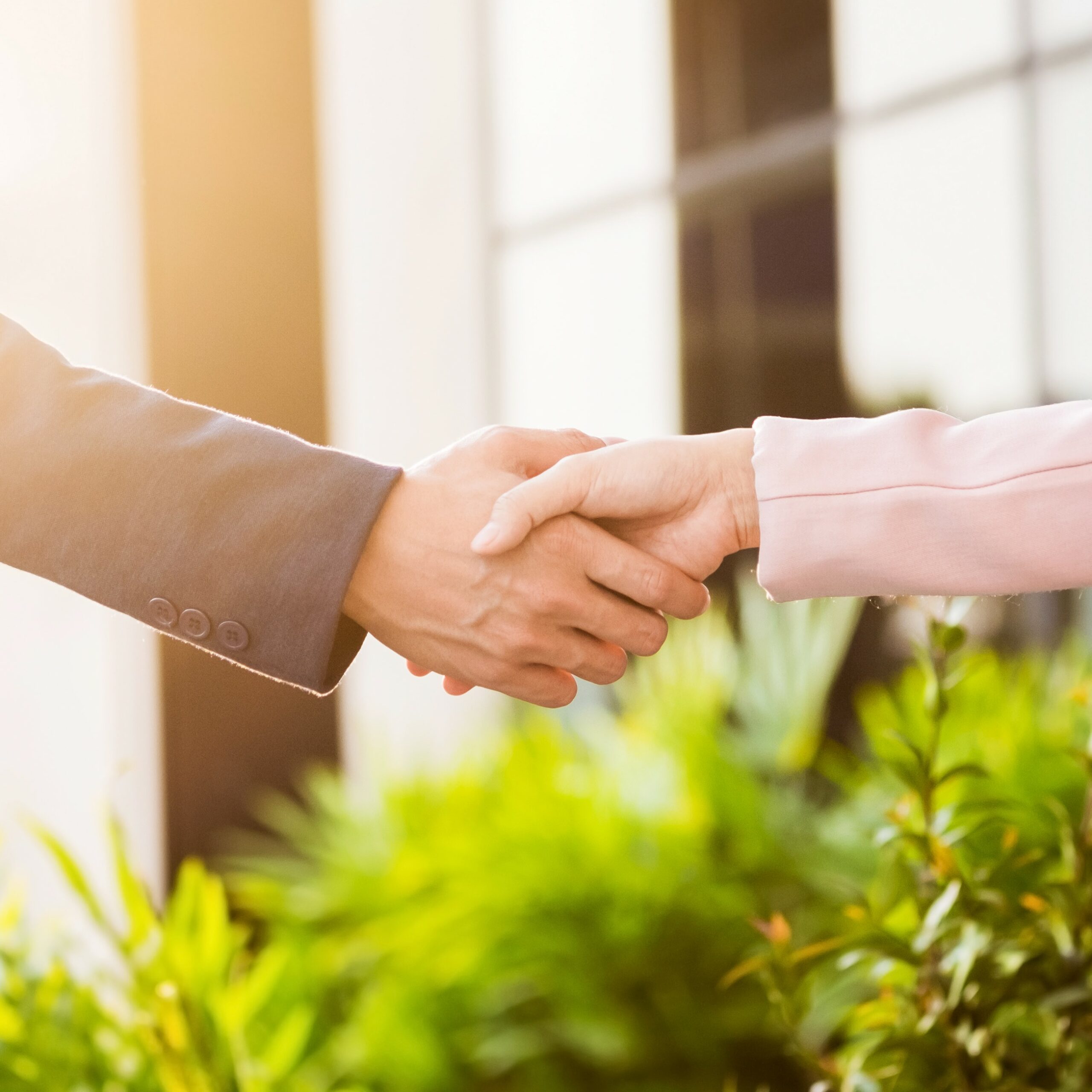 Closeup friendly meeting handshake between business woman and businessman with sunlight